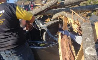 Vídeo: Árvore cai sobre carro na BR-040 no sentido Sete Lagoas; três pessoas ficaram feridas  