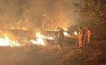 Irmãos morrem carbonizados durante combate a incêndio no interior de Minas 