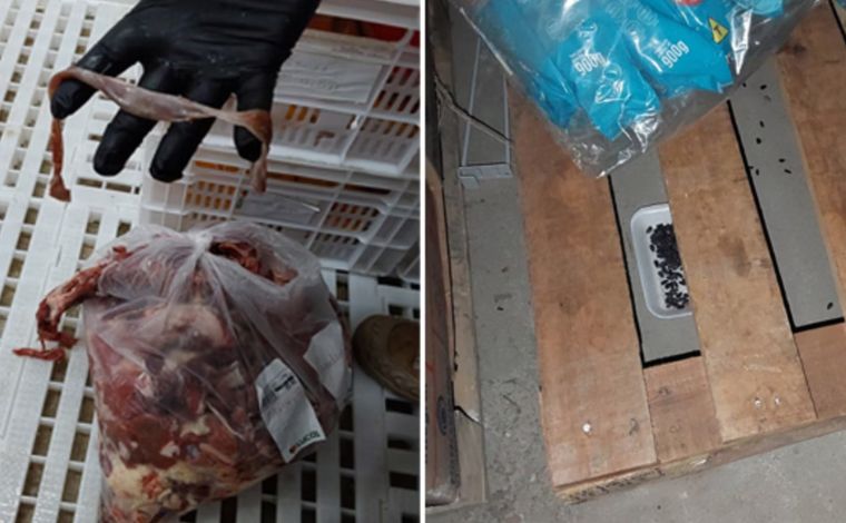 MPMG interdita supermercado, prende gerente e apreende 500 kg de carne imprópria para consumo 