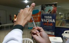 Anvisa atualiza composição de vacinas contra gripe para 2025