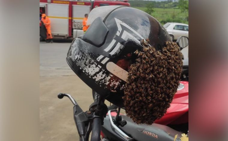 Enxame de abelhas invade capacete de motociclista e mobiliza bombeiros no interior de Minas 