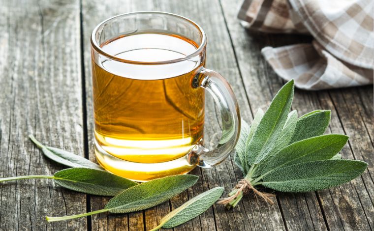 Foto: Ilustrativa - As receitas de chÃ¡s com propriedades medicinais sÃ£o passadas de geraÃ§Ã£o em geraÃ§Ã£o. Muitas das ervas usadas nessas infusÃµes sÃ£o facilmente encontradas e podem ser cultivadas em casa, como a sÃ¡lvia